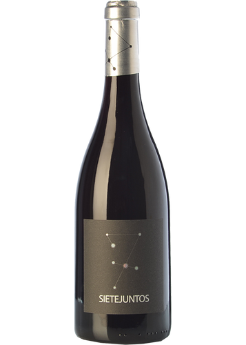 Ismael Gozalo Microbio Sietejuntos Merlot 2020