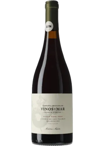 Sierra de las Palmas Pinot Noir 2022