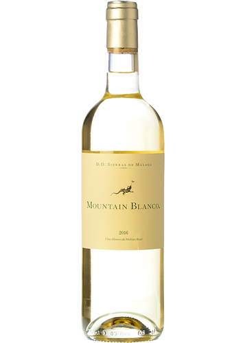 Mountain Blanco 2024
