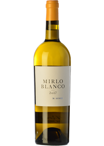 Mirlo Blanco 2024