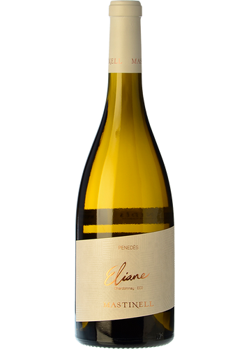 Mastinell Gisele 2024