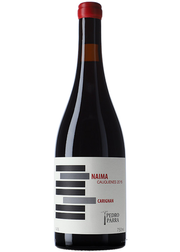 Pedro Parra y Familia Naima 2015