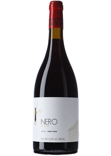 Batlliu de Sort Nero de Sort 2024