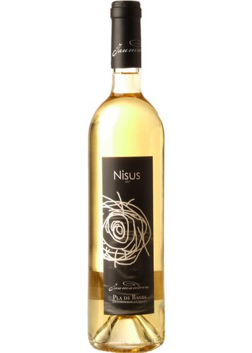 Nisus 2006