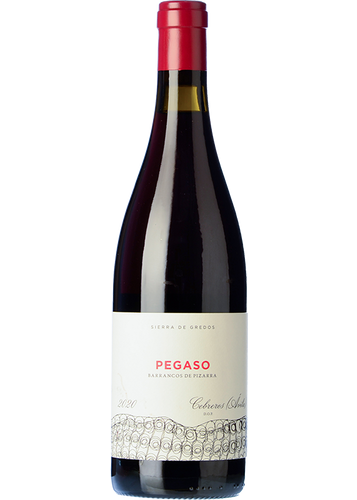 Pegaso Barrancos de Pizarra 2022