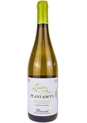 Plantadeta Roure Blanc 2024