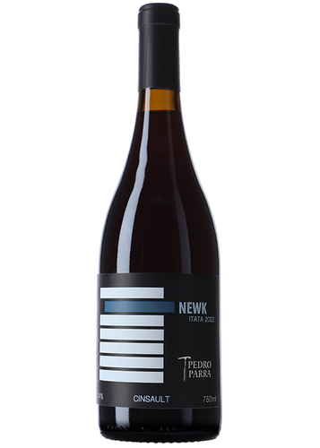 Pedro Parra y Familia Newk 2023