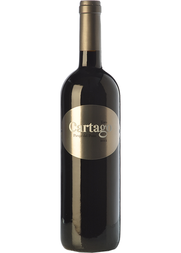 Cartago Paraje del Pozo 2021