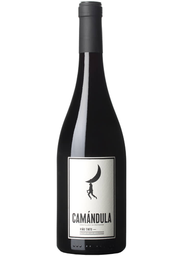 Peixes Camándula 2019