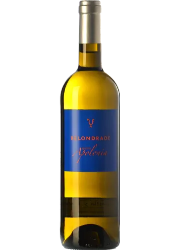 Belondrade Quinta Apolonia 2024