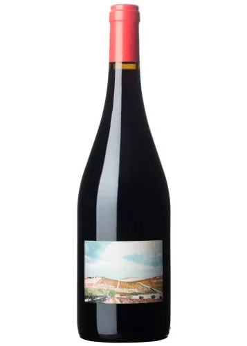 Raúl Moreno Dark N Stormy 2024