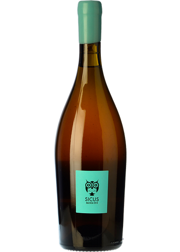 Sicus Malvasia Àmfora 2019