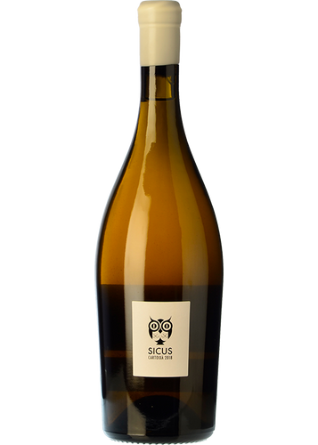 Sicus Cartoixà Àmfora 2019 (Magnum)