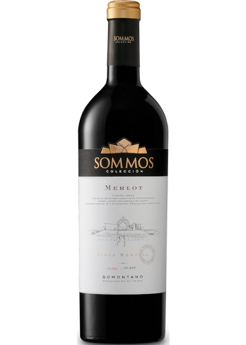 Sommos Colección Merlot 2020