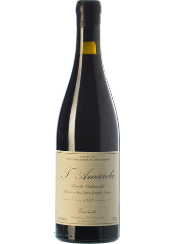 Envínate Tinto Amarela Parcela Valdemedel 2017