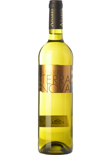 Añares Terranova Rueda Verdejo 2019