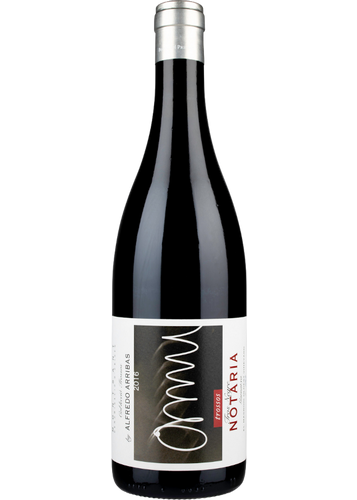 Tros Negre Notaria 2016