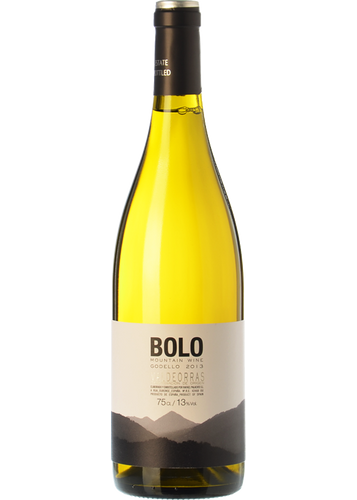 Bolo 2015
