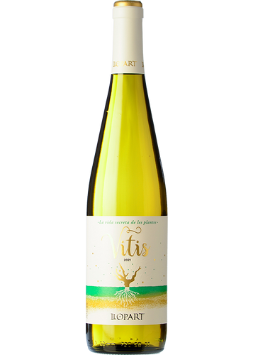 Llopart Vitis 2024