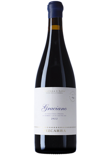 Vizcarra Graciano 2022