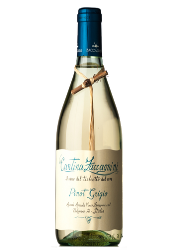 Zaccagnini Pinot Grigio Tralcetto 2020