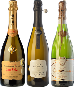 Cavas Paraje Calificado: Patience in the cellars