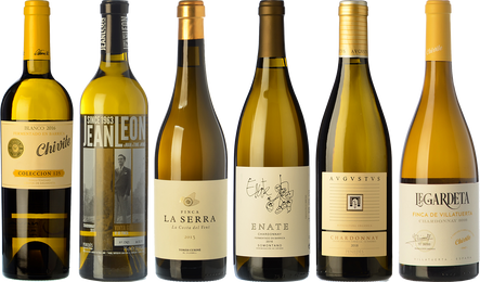 Northern and Southern Chardonnays