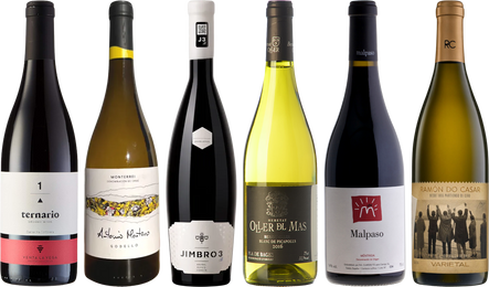 Unbekannte Weinregionen