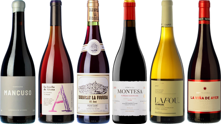 Garnacha–Grenache: sei sguardi, un’uva infinita