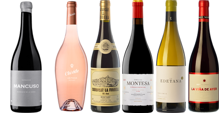 Garnacha–Grenache: sei sguardi, un’uva infinita