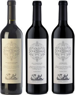 Gran Enemigo Gualtallary 99PK + Cepillo 97PK + Agrelo 95PK