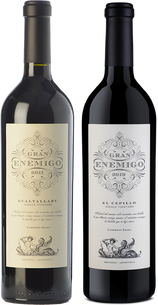 Gran Enemigo Gualtallary 99PK+ Cepillo  97PK