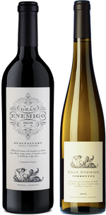 Gran Enemigo Gualtallary 100PK + Torrontes
