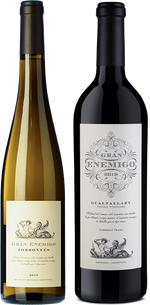 Gran Enemigo Gualtallary 100PK + Torrontes