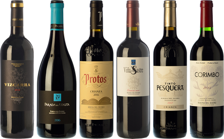 La diversidad de Ribera del Duero