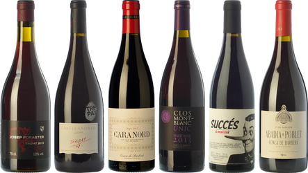 Essential wines from Conca de Barberà