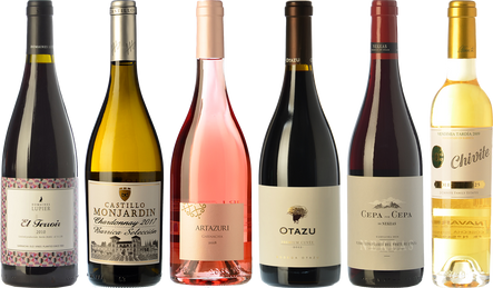 Essential wines from Navarre