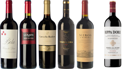 Ribera del Duero essentials