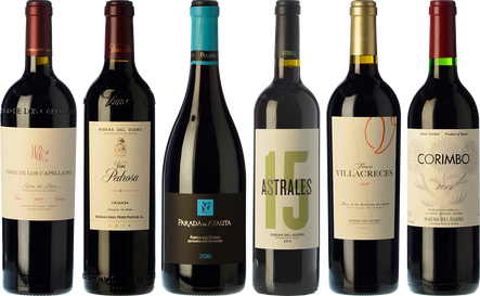 Los indispensables de Ribera del Duero