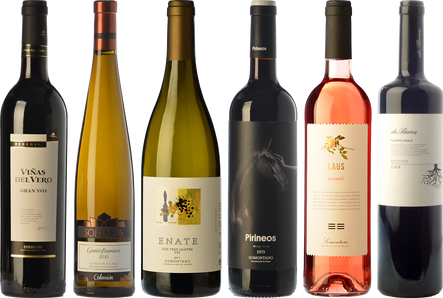 Essential wines from Somontano