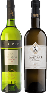 Manzanilla vs Fino