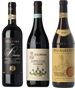 Discover the red wines of Italy
