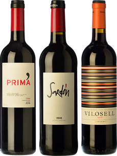 Selección Club Vinissimus Octubre 2021