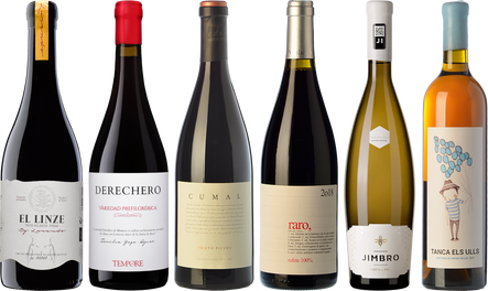 Wines from recovered grapes