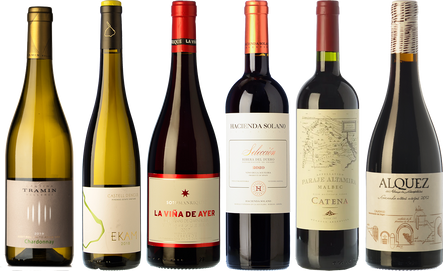 High Altitude Wines