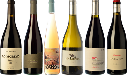 Wines from recovered grapes