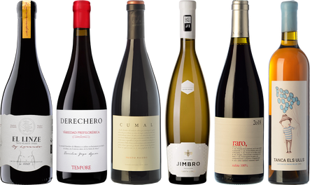 Wines from recovered grapes