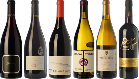 Autumnal wines