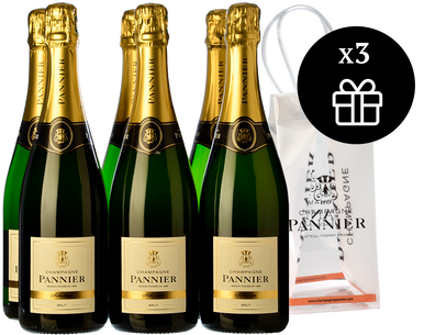 6 Champagne Pannier Brut Sélection + 3 Ice bag