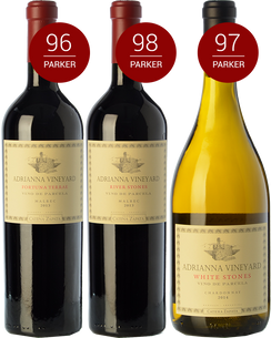 Catena Adrianna: The South America's Grand Cru